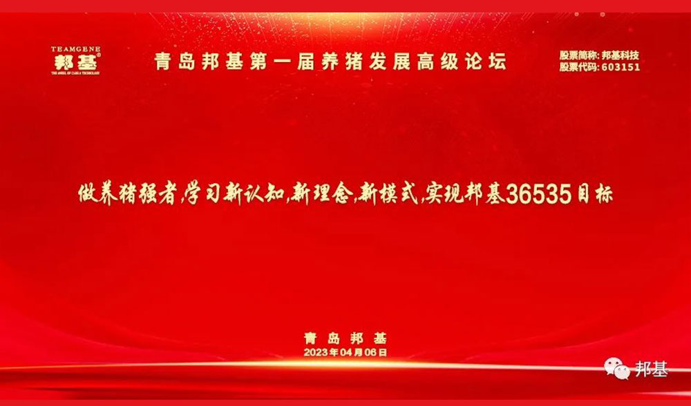 青岛mg不朽情缘第一届养猪发展高级论坛隆重举办